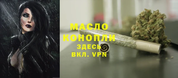 гашик Россошь