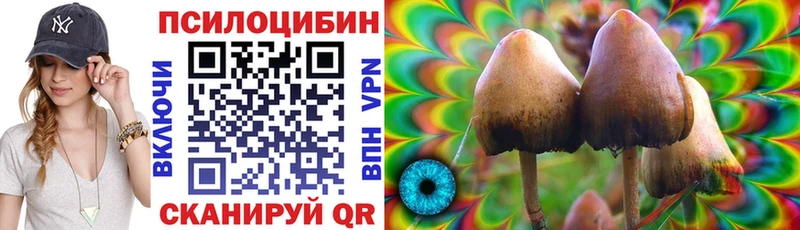 Галлюциногенные грибы Cubensis  Искитим 